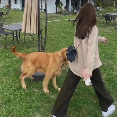 春光破碎